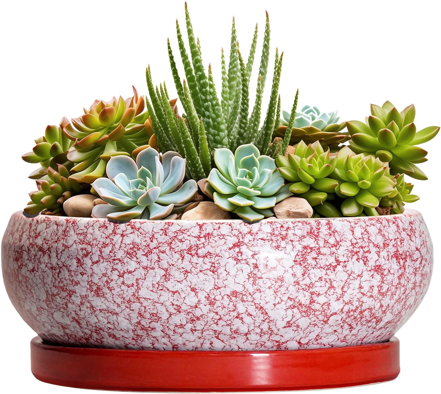 EPFamily Ceramic Succulent Pots