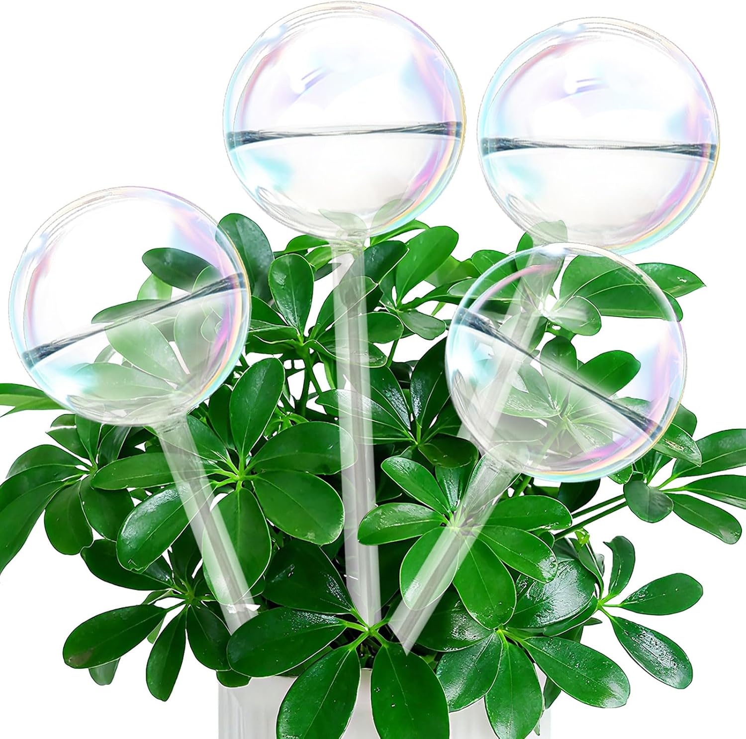 iGarden Self Watering Globes