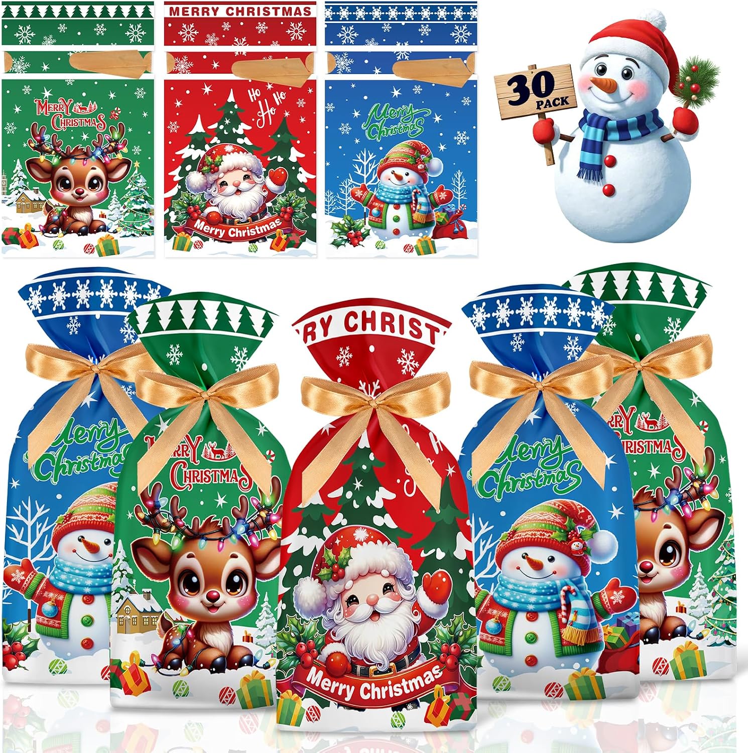 Christmas Gift Favor Bags