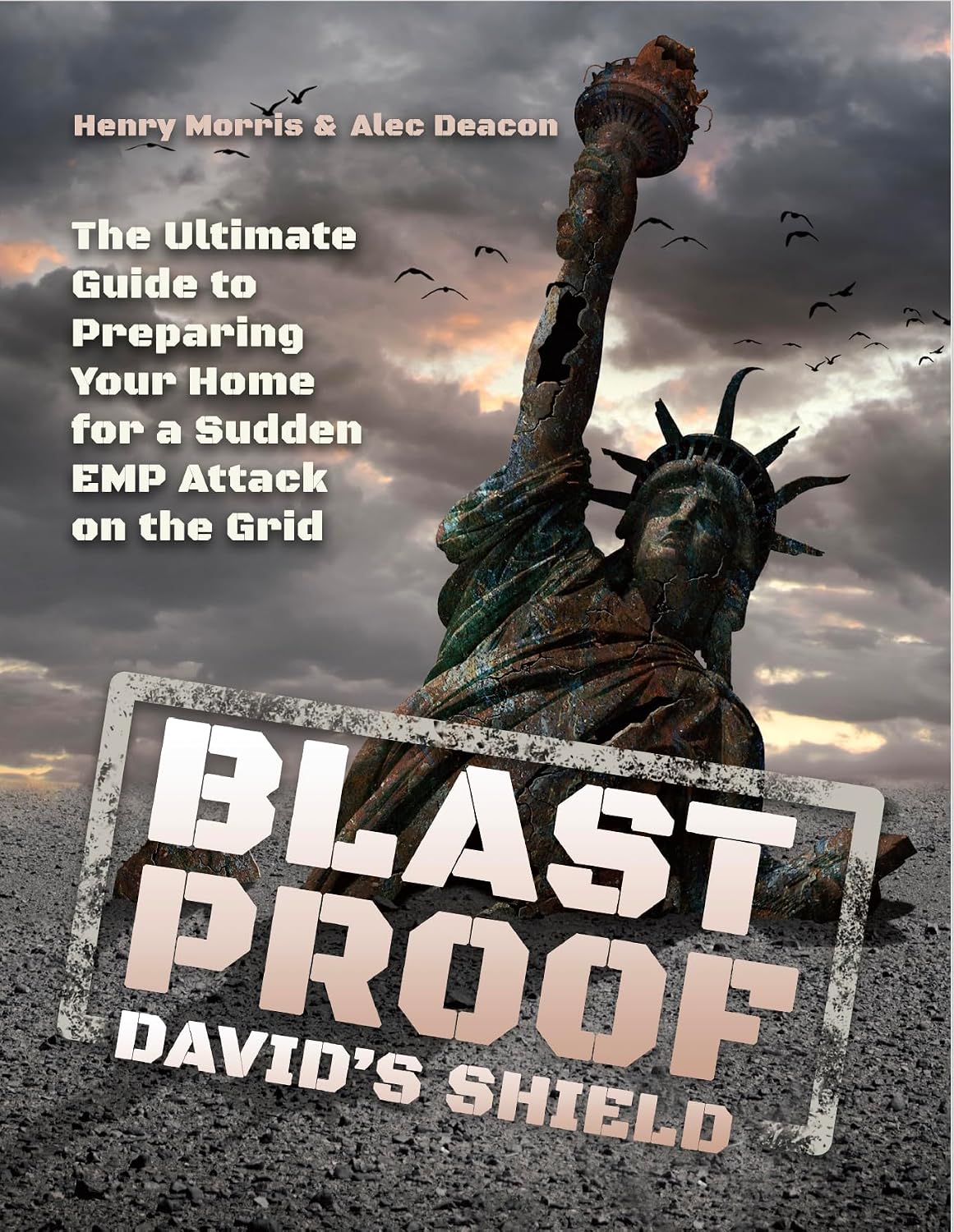 Blast Proof Shields (EMP Protection