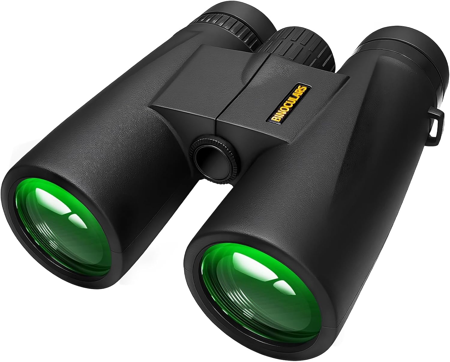Asacam 10x42 Binoculars