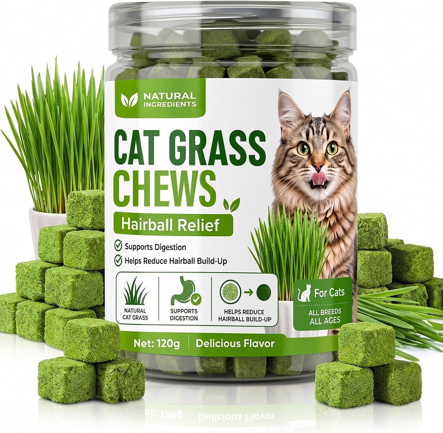 HQEHQE Cat Grass Treats