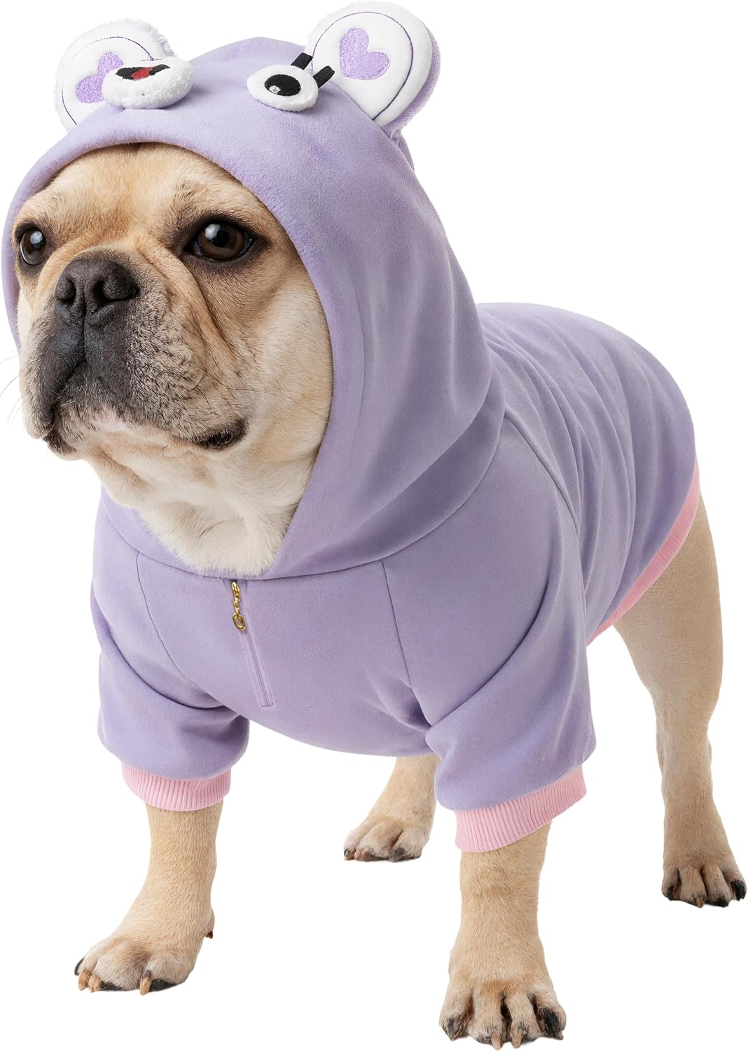 Dog Hoodie Sweater for French Bulldog, Frenchie Clothes Sweater Hoodies for Small Medium Dogs,Corgi Pug Pitbull English Bulldog Sweaters Clothes Pet Costumes Winter Coat, Bear,Purple,L