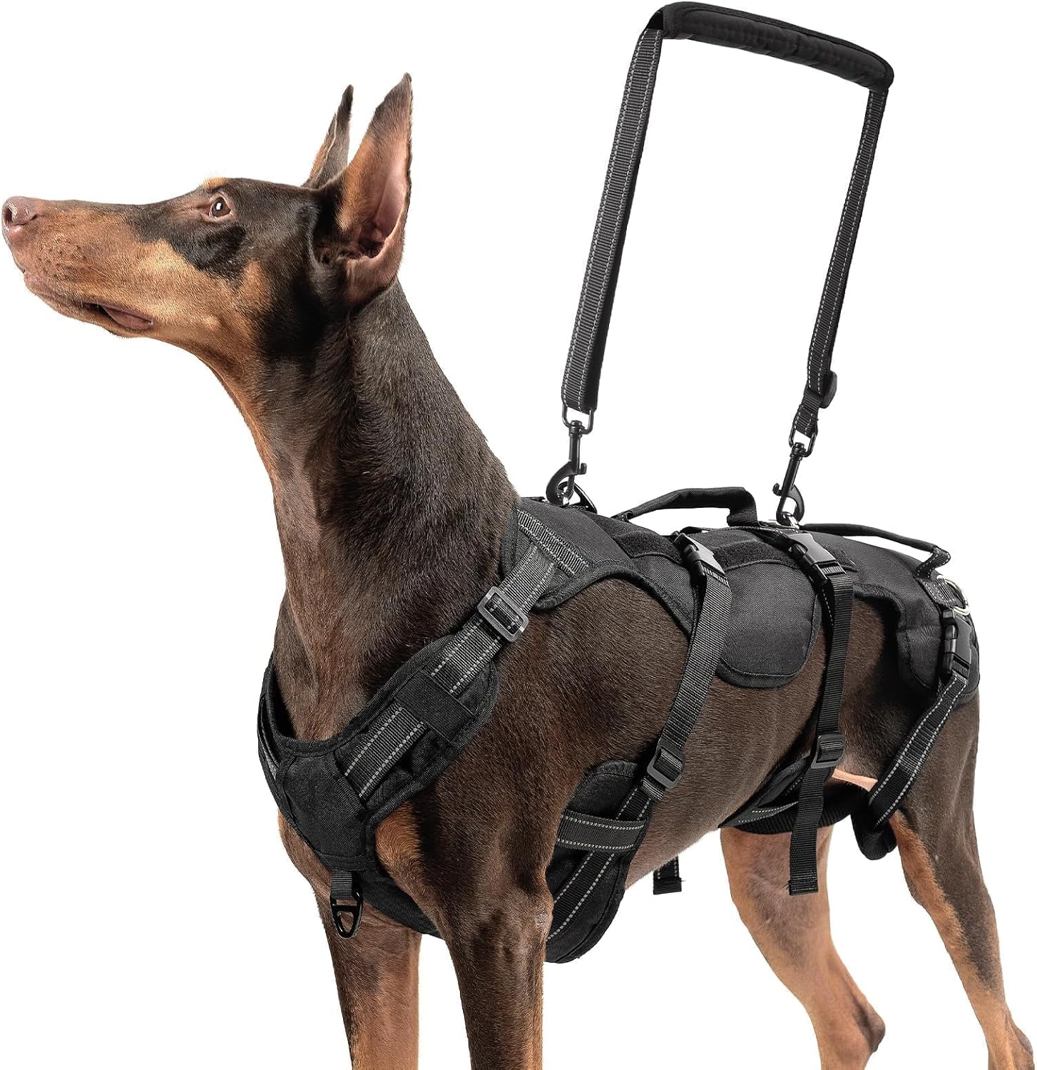 BINGPET Dog Lift Harnesses