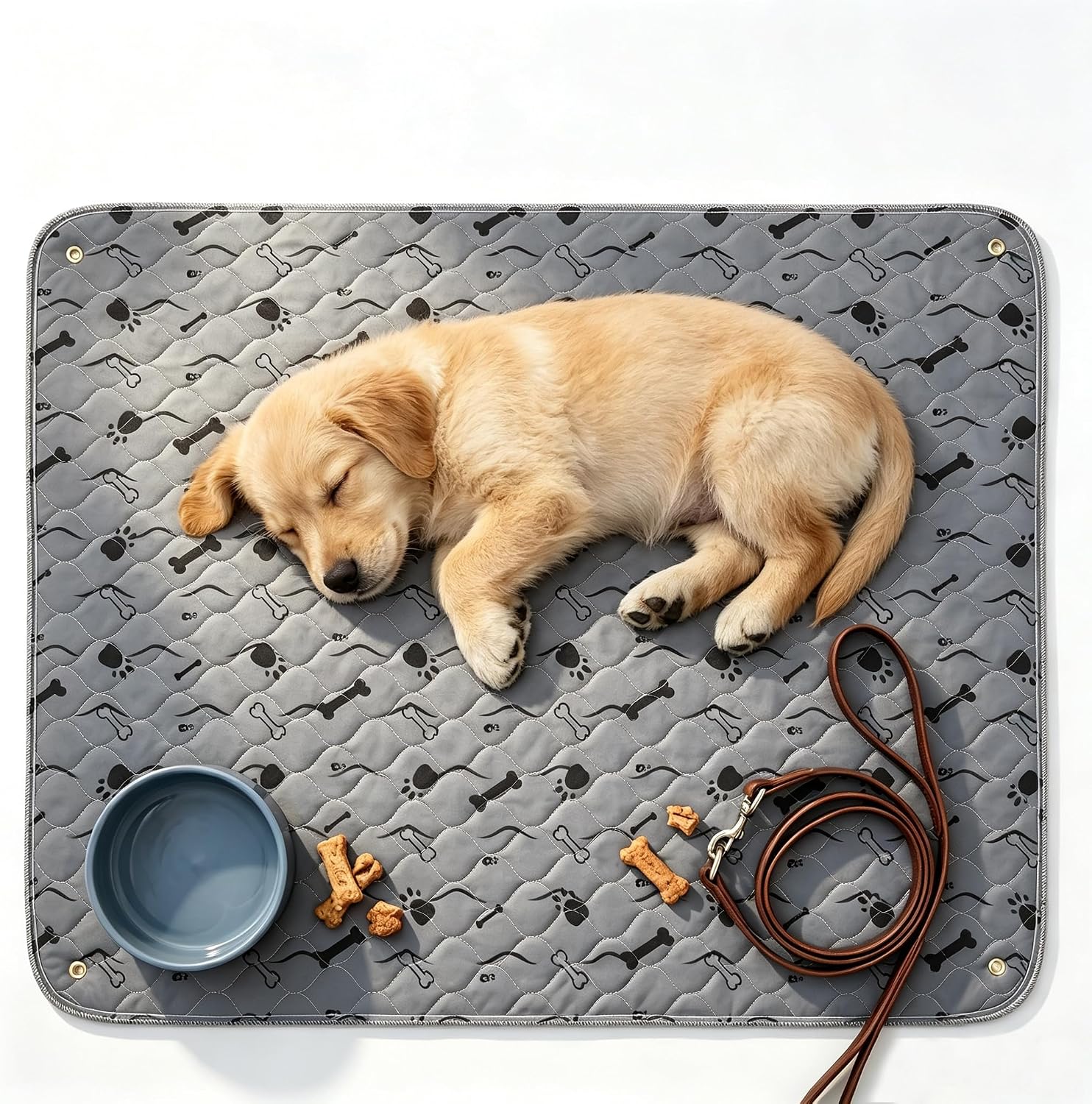 Washable Pee Pads for Dogs