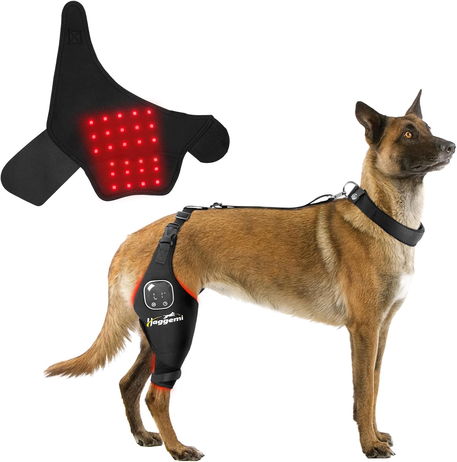 Dog Knee Braces with Light Therapy
