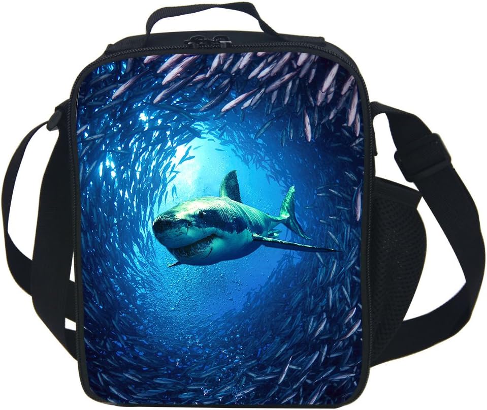 CAIWEI Insulated Lunch Cooler Bags