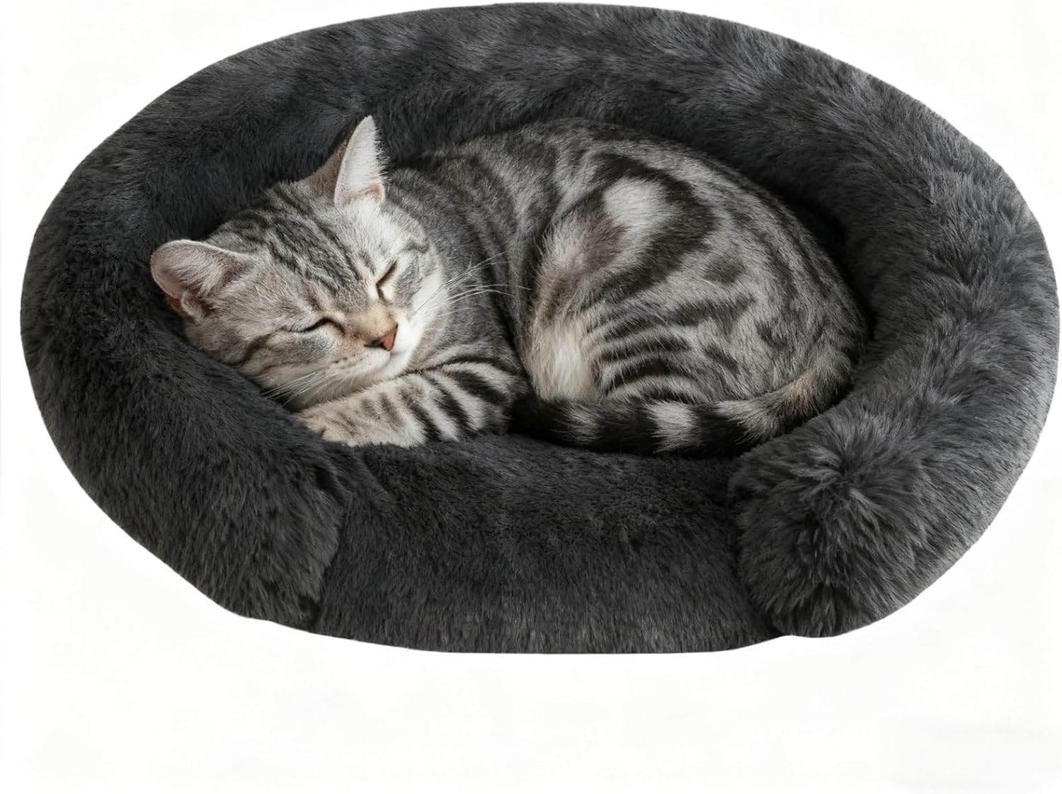 Doimier Orthopedic Pet Beds