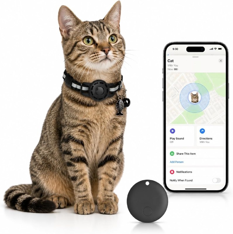 Cat GPS Tracker Collars