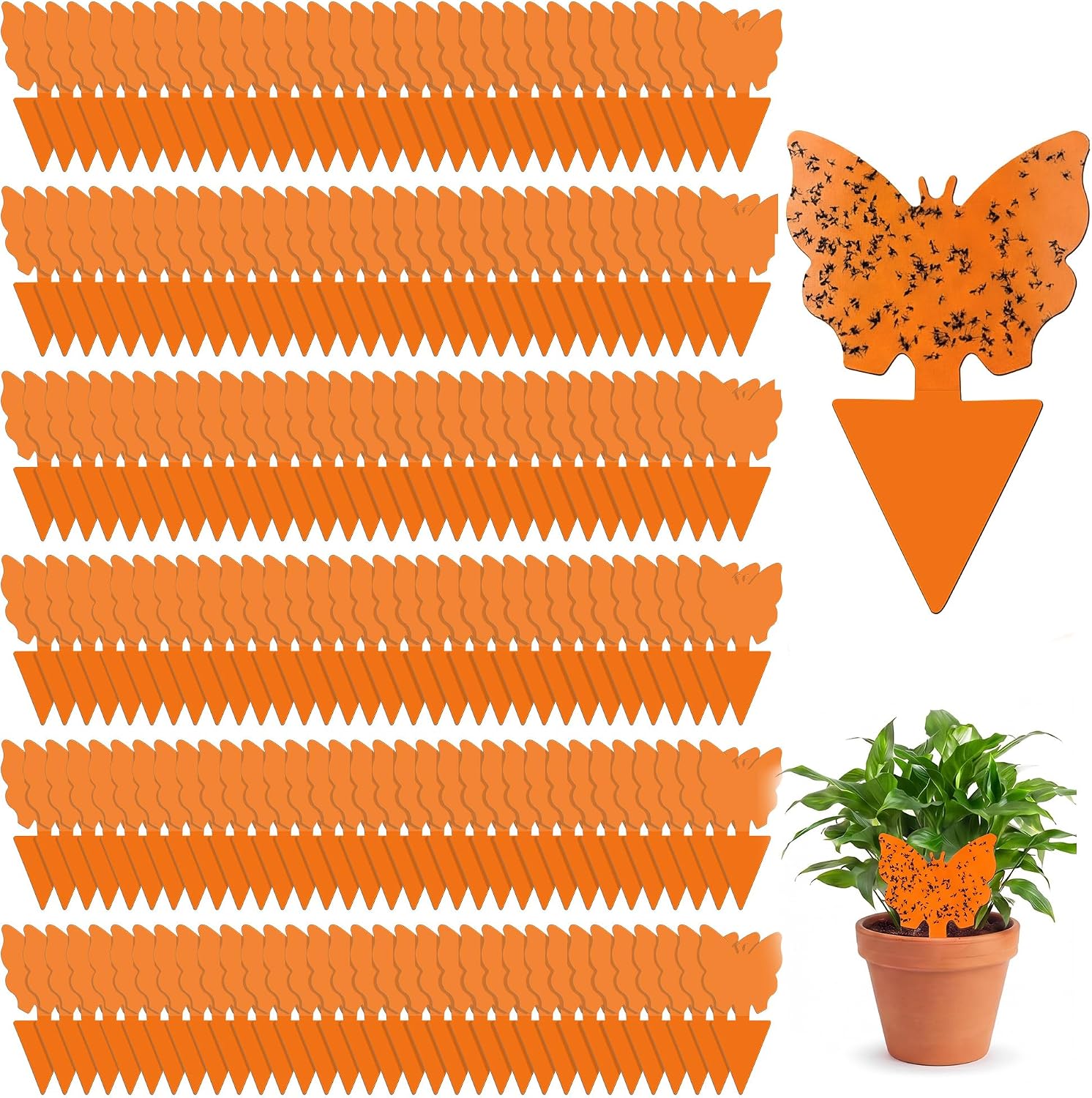 Gnat Sticky Traps (Orange