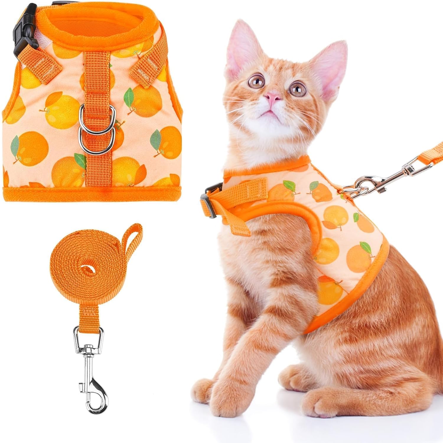 BINGPET Cat Harnesses and Leashes