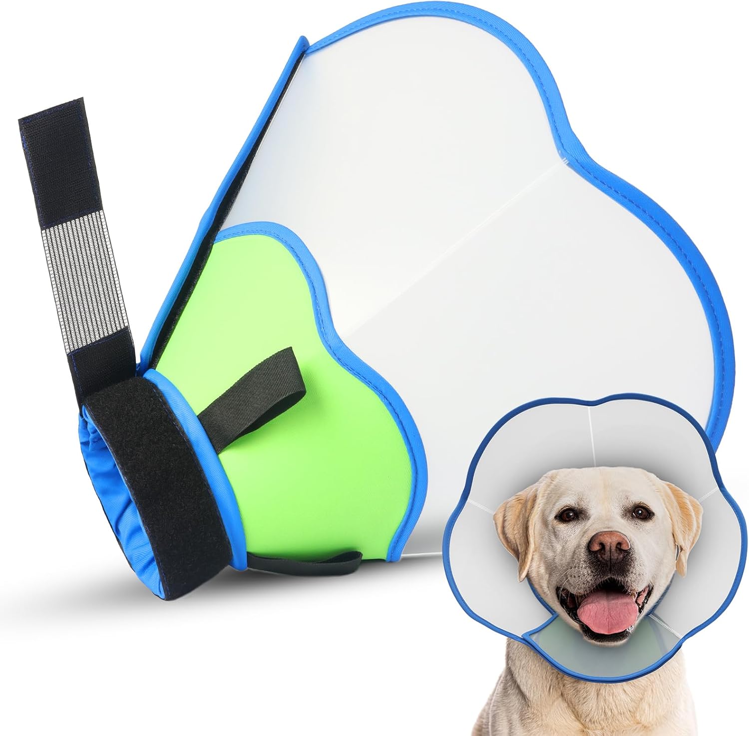 Dog Recovery Cones