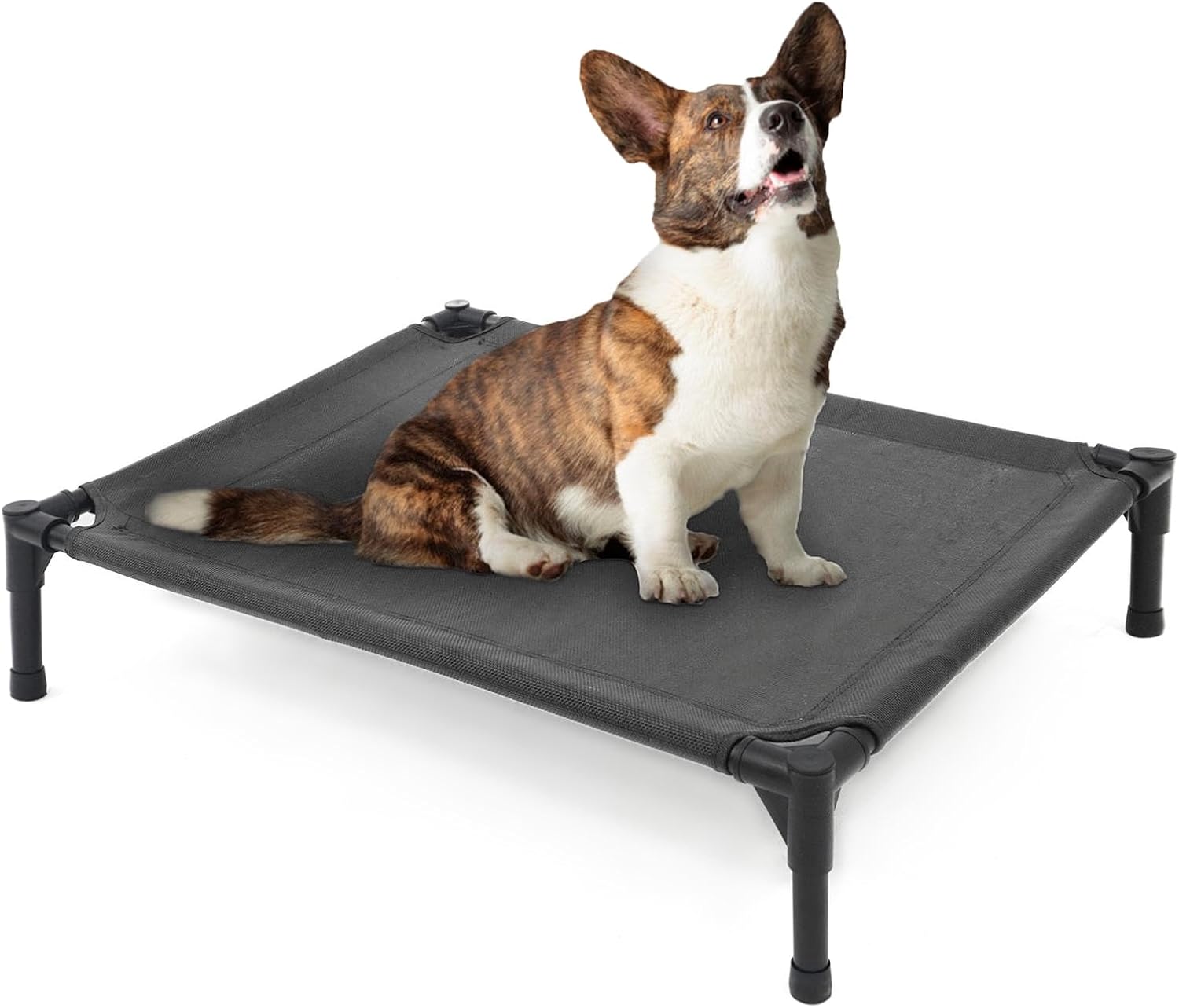 Garnpet Elevated Pet Beds