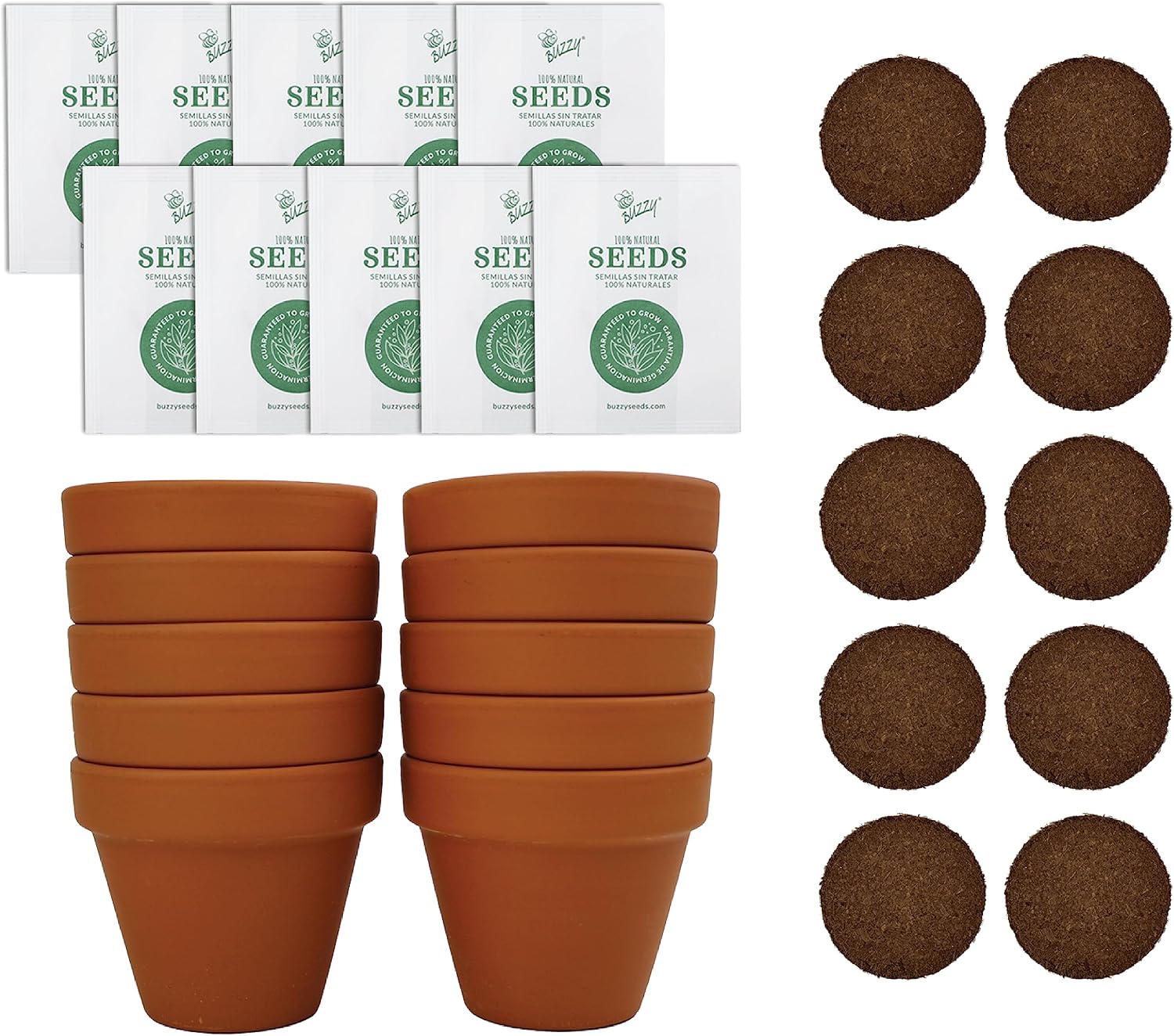BUZZY Dwarf Sunflower Grow Kits