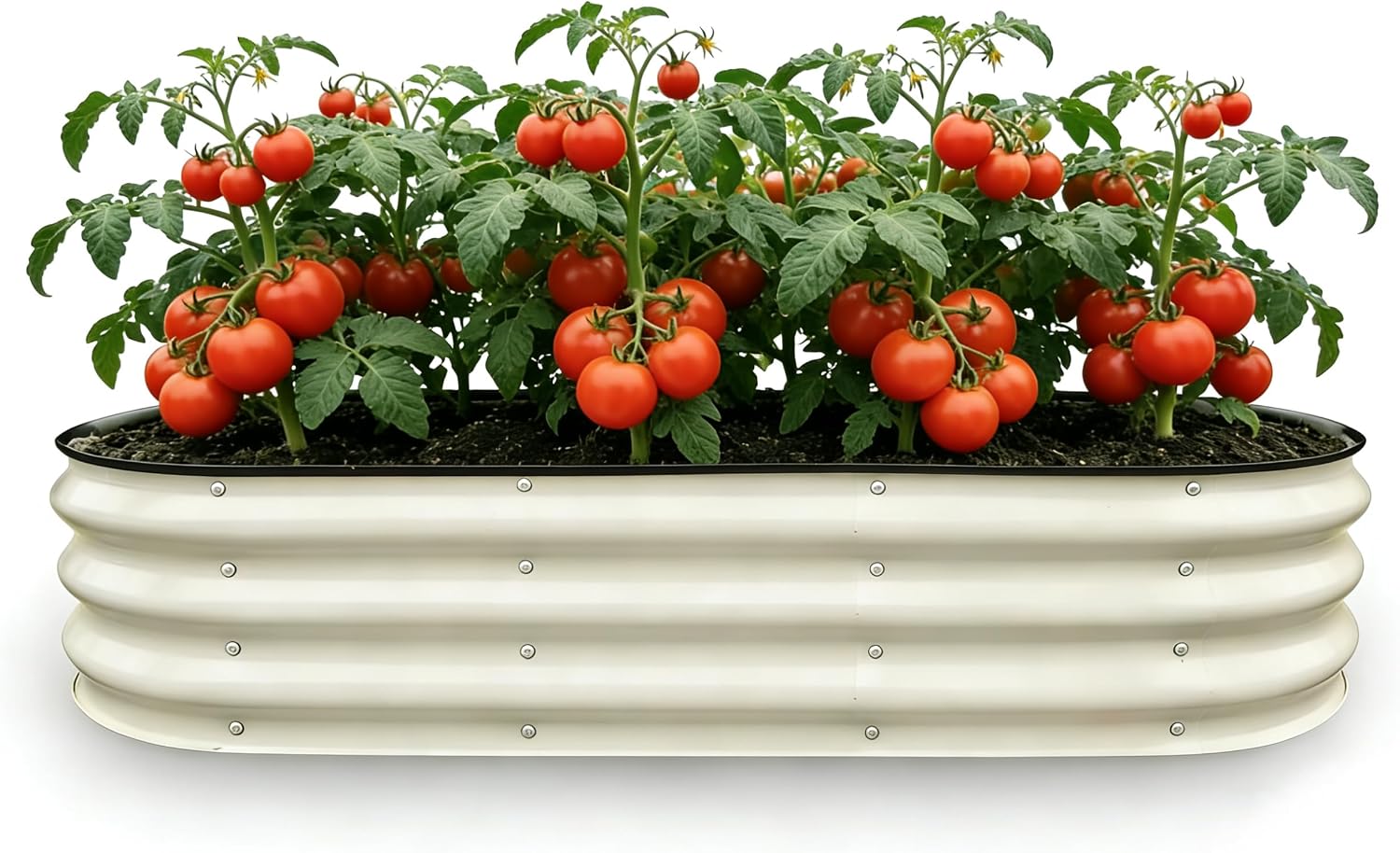 GrowHaus Galvanized Raised Garden Beds