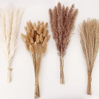 Dried Pampas Grass Decor