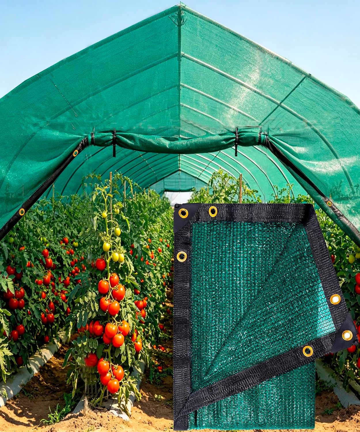 E.share Green Shade Cloths