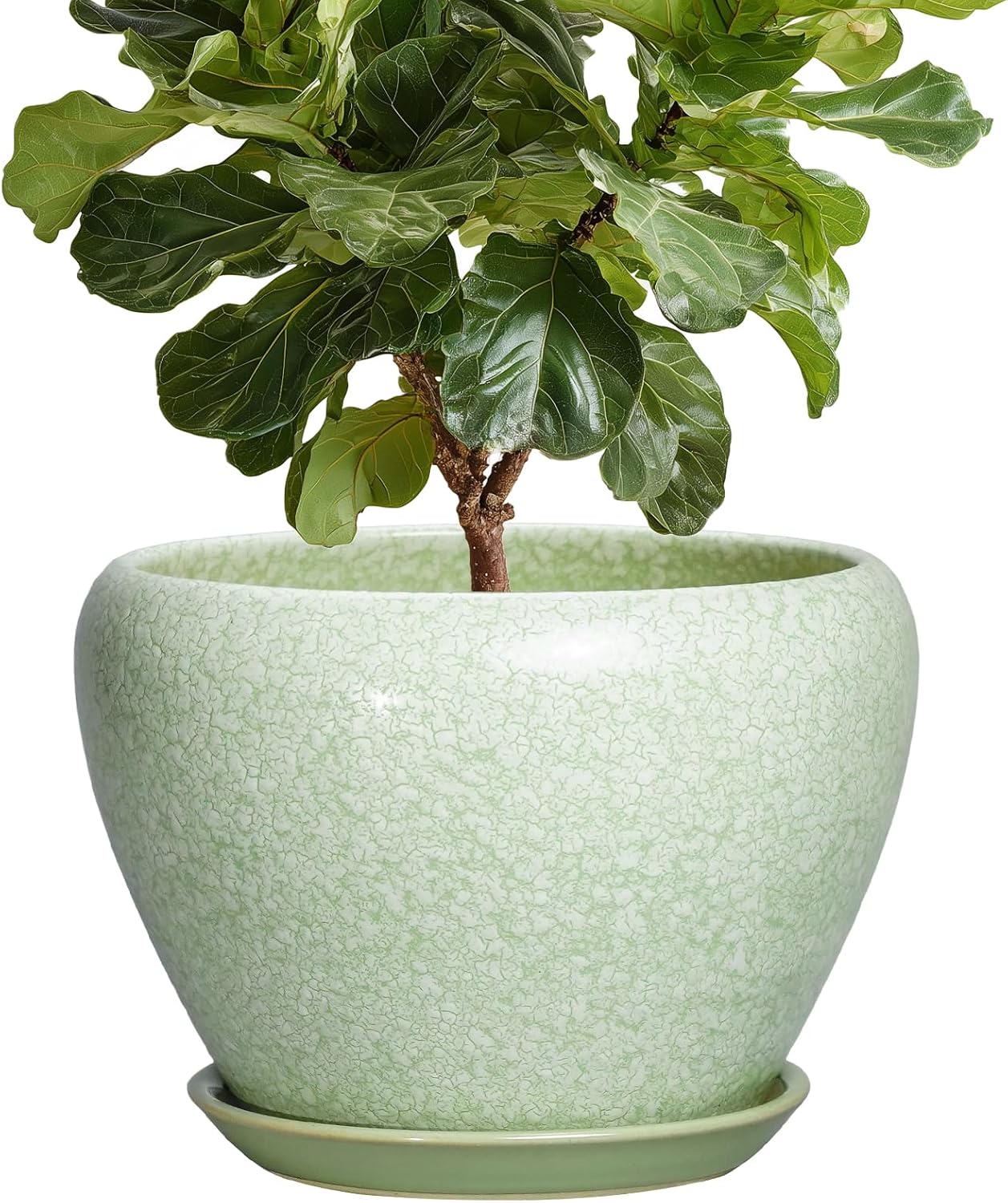 Ceramic Plant Pots (10 Inch