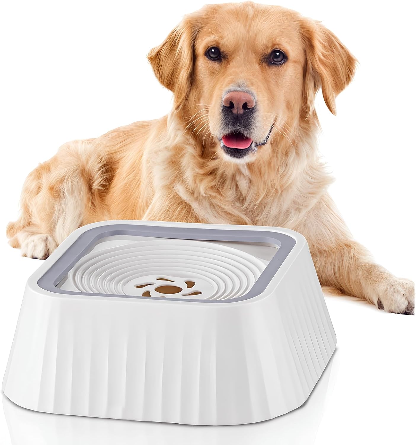 Ocean Ice Dog Bowls