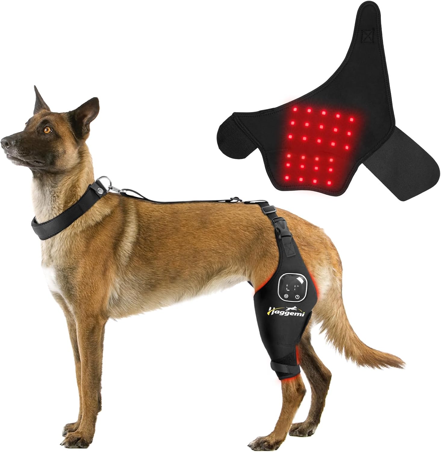 HAGGEMI Dog Knee Braces