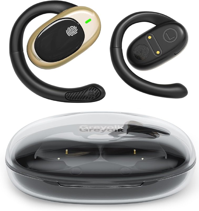 AI Language Translation Earbuds