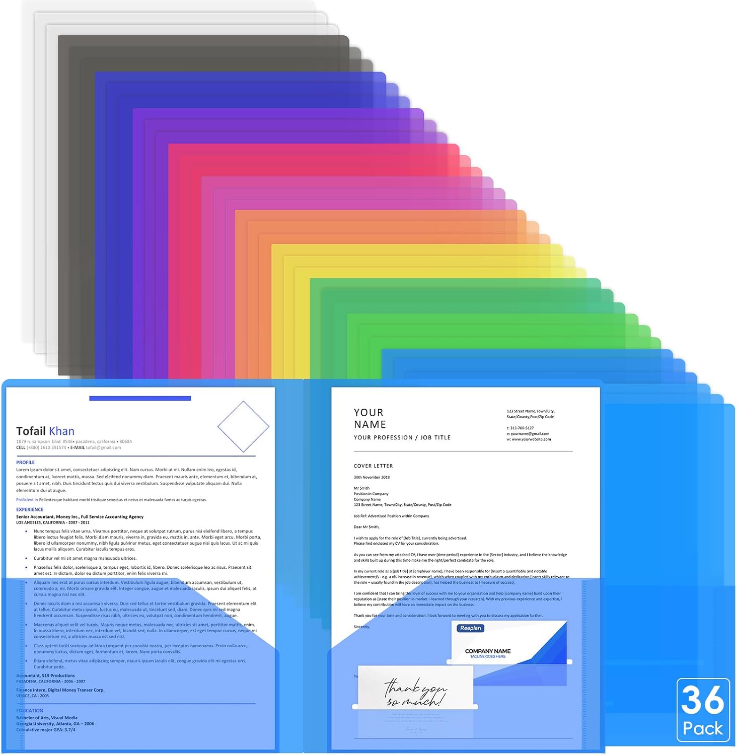 Reeplan Plastic Folders (36 Pack