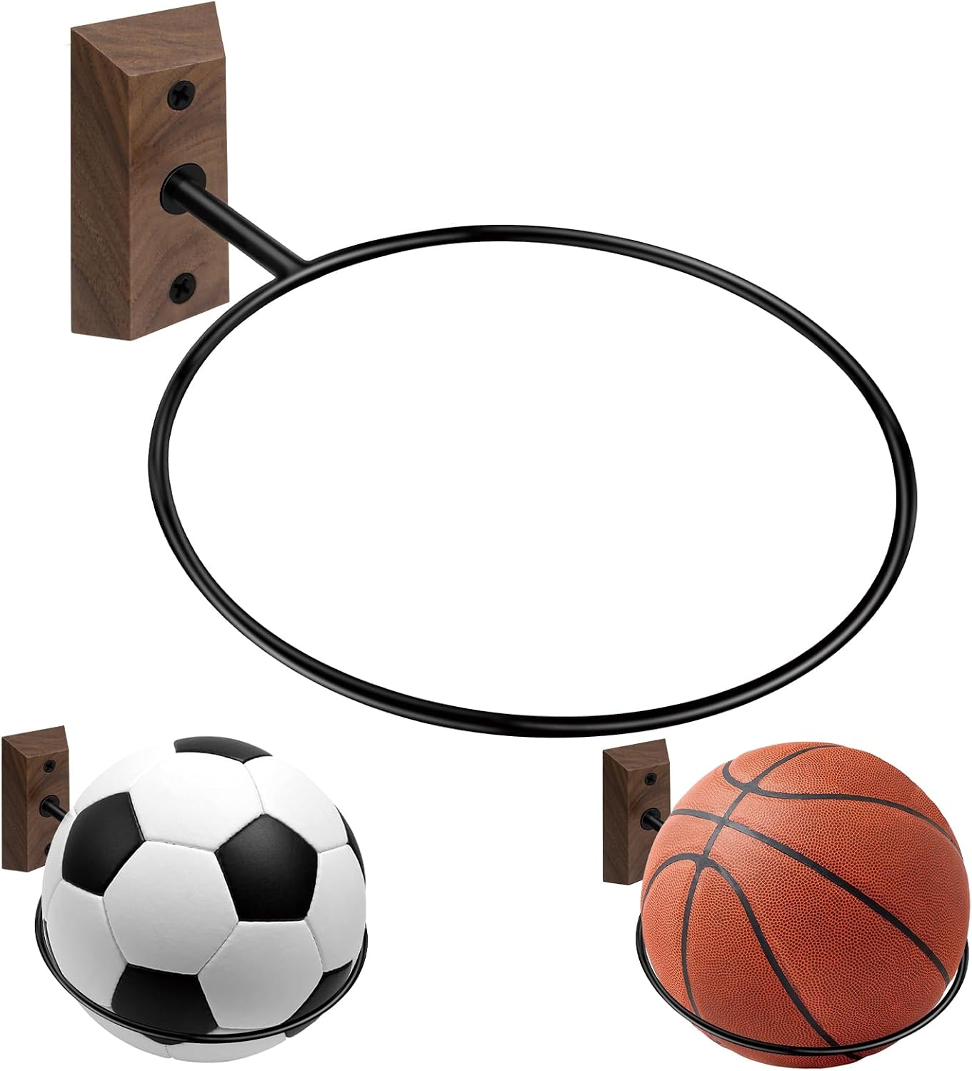 Basketball Sports Displays