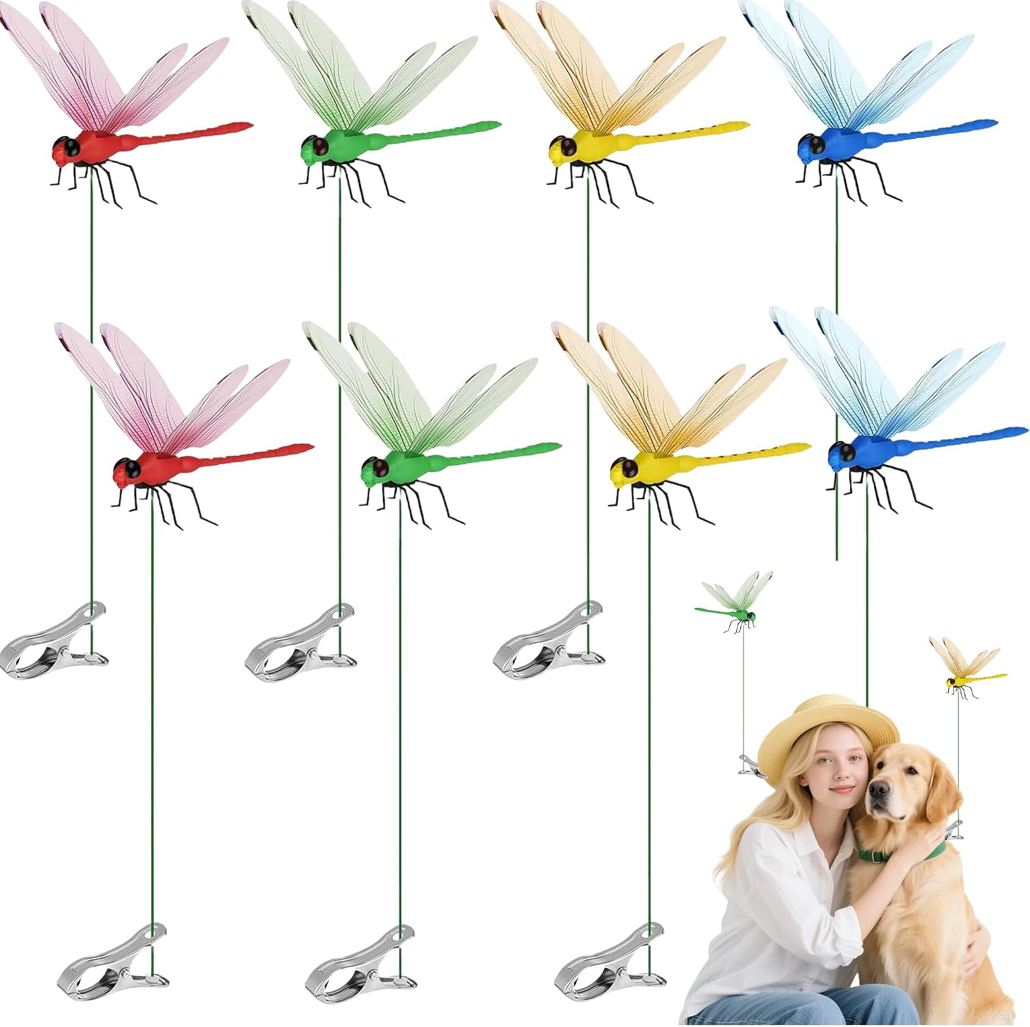 Xandova Dragonfly Decor