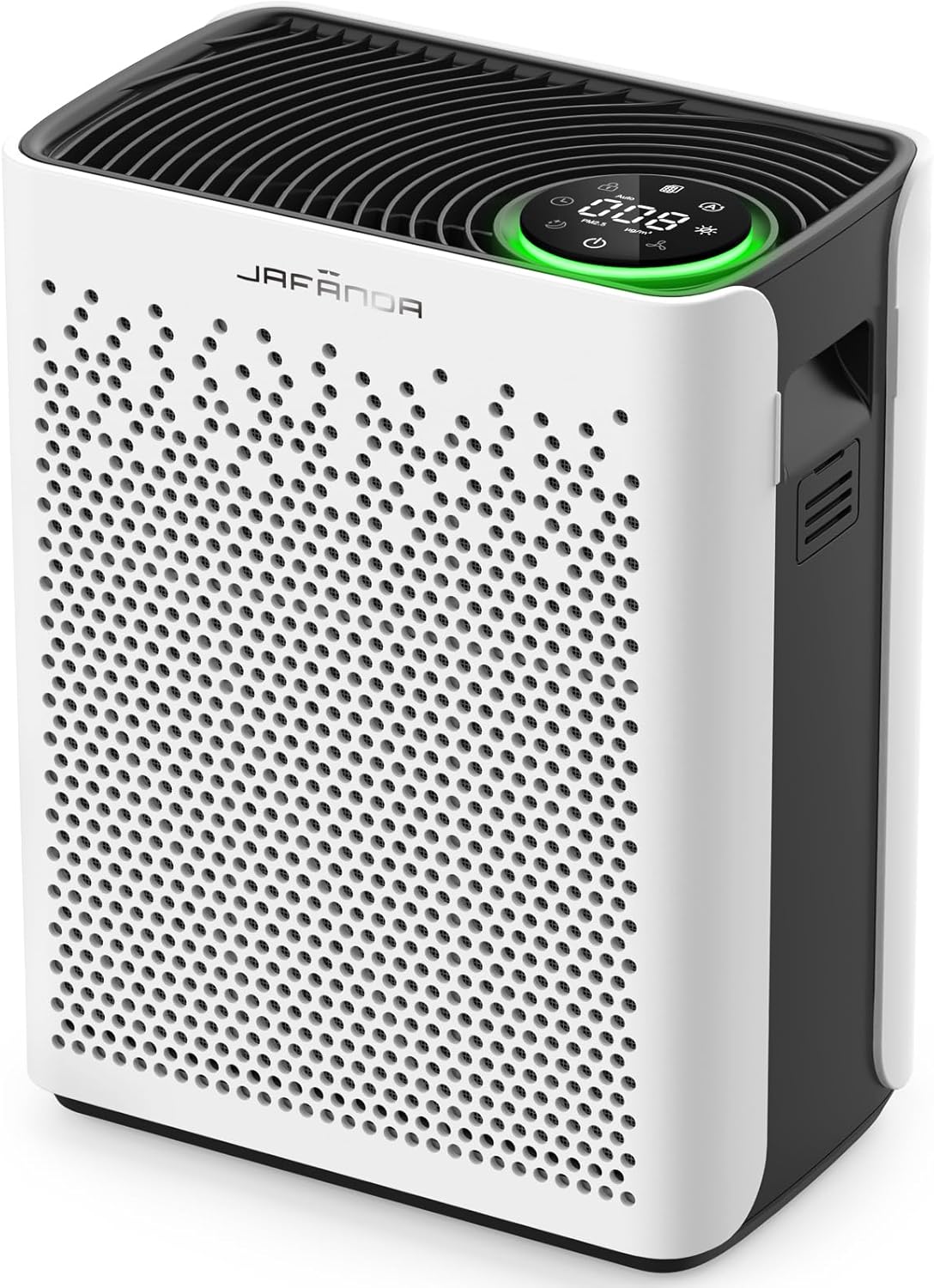 Air Purifiers for Large Rooms