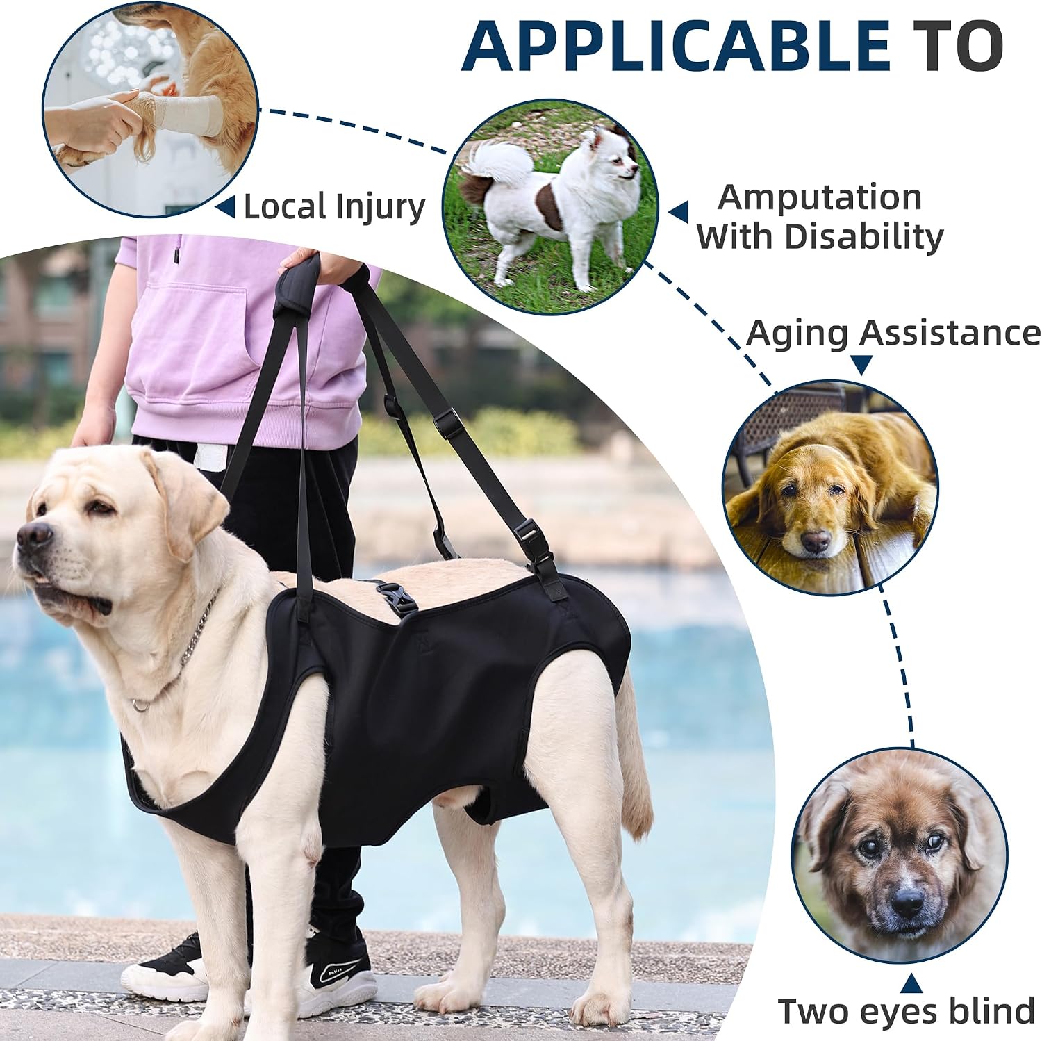 Dog Lift Harnesses