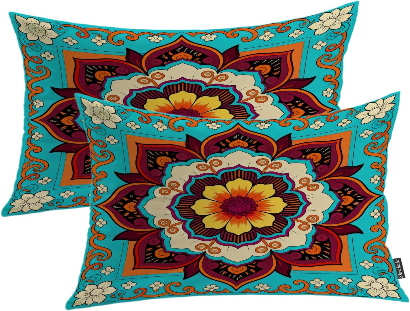 Shrahala Paisley Pillows