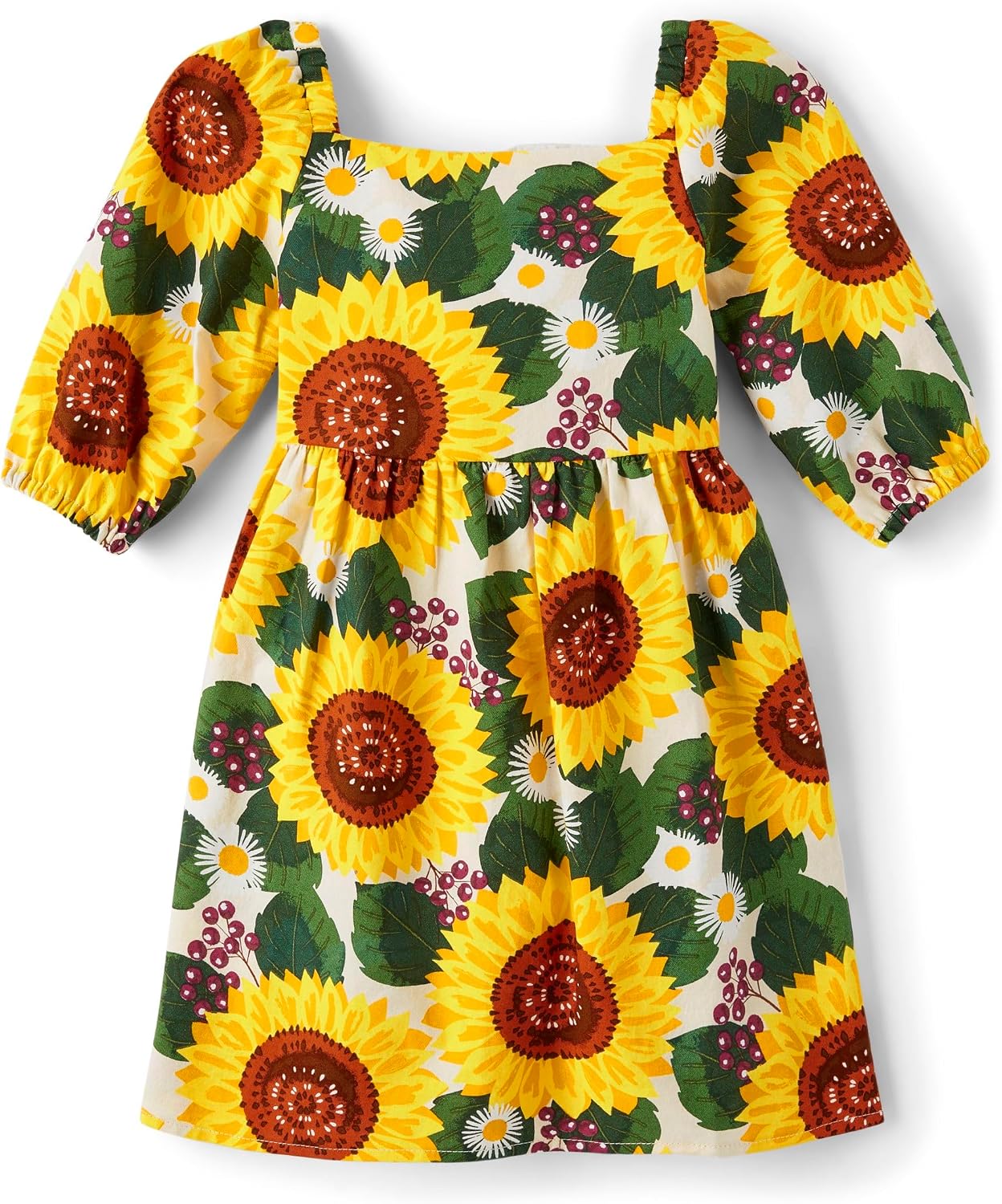 Gymboree Girls and Toddler Short Sleeve Fit and Flare Dresses