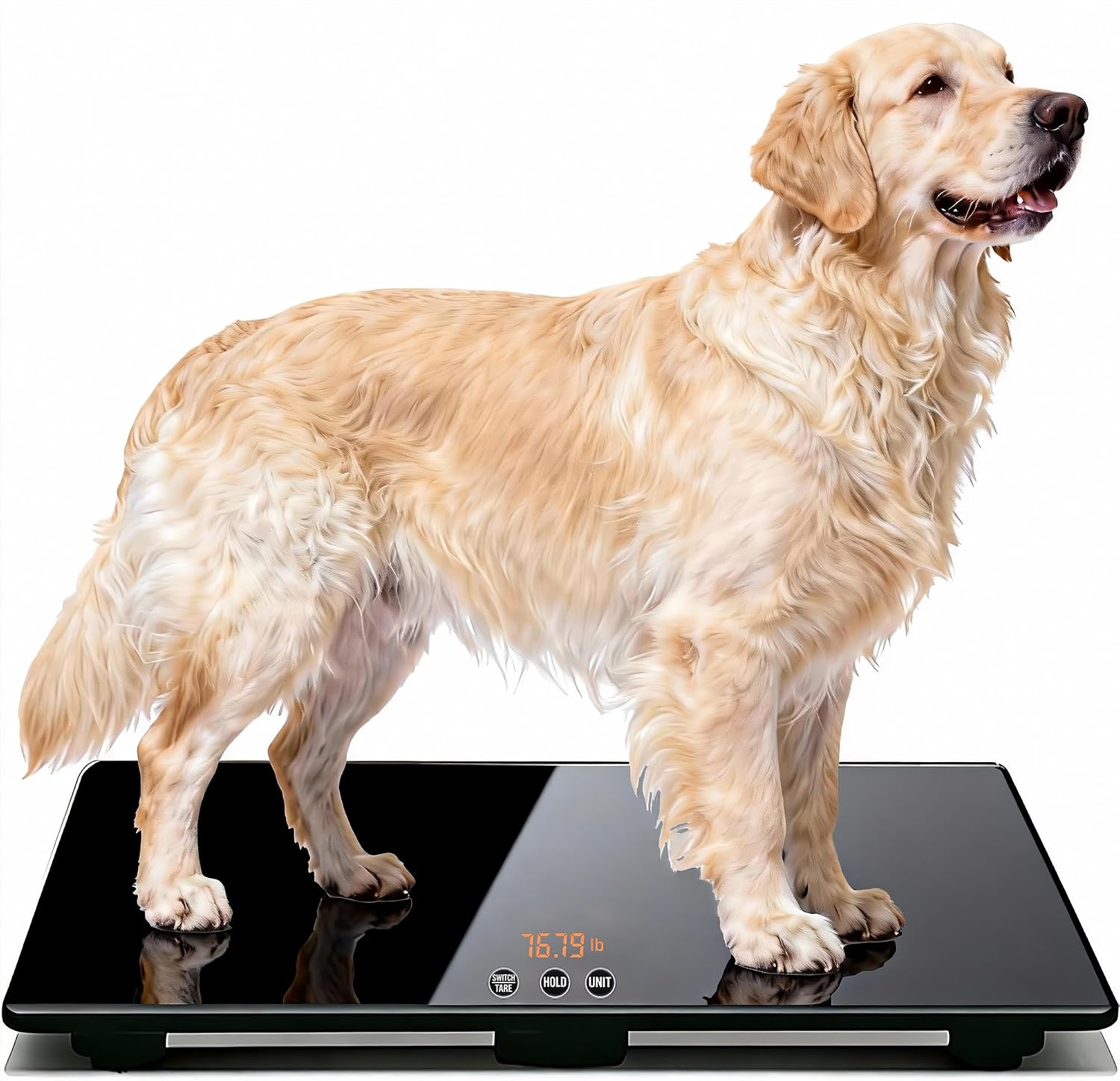 One-Mi Digital Pet Scales