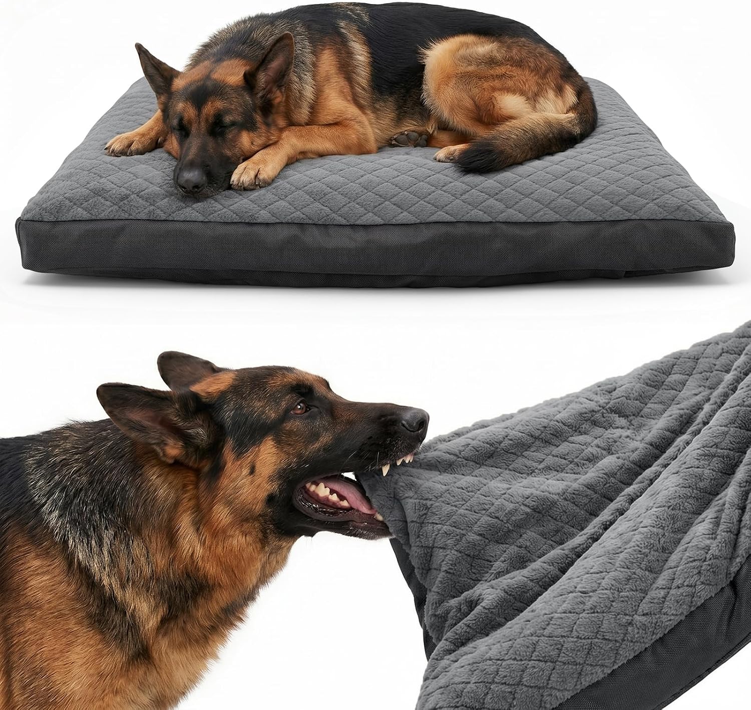 GASUR Indestructible Dog Beds