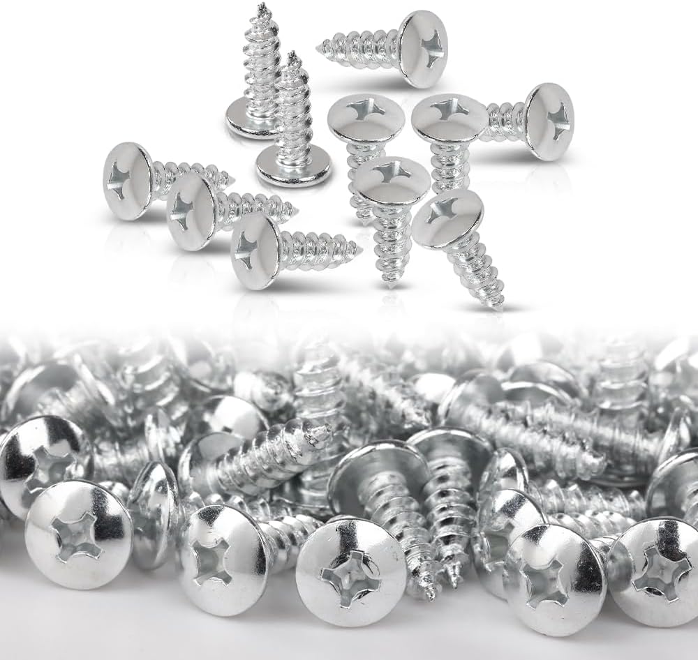 LQI License Plate Screws