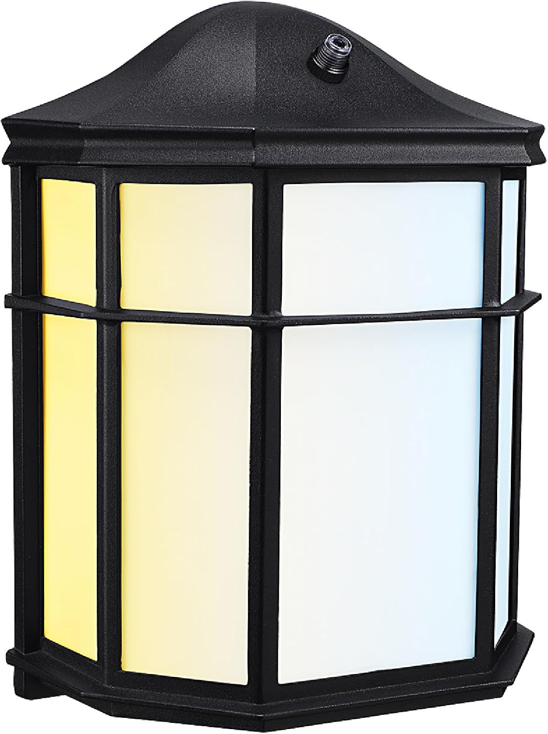 LEONLITE Outdoor Wall Lights