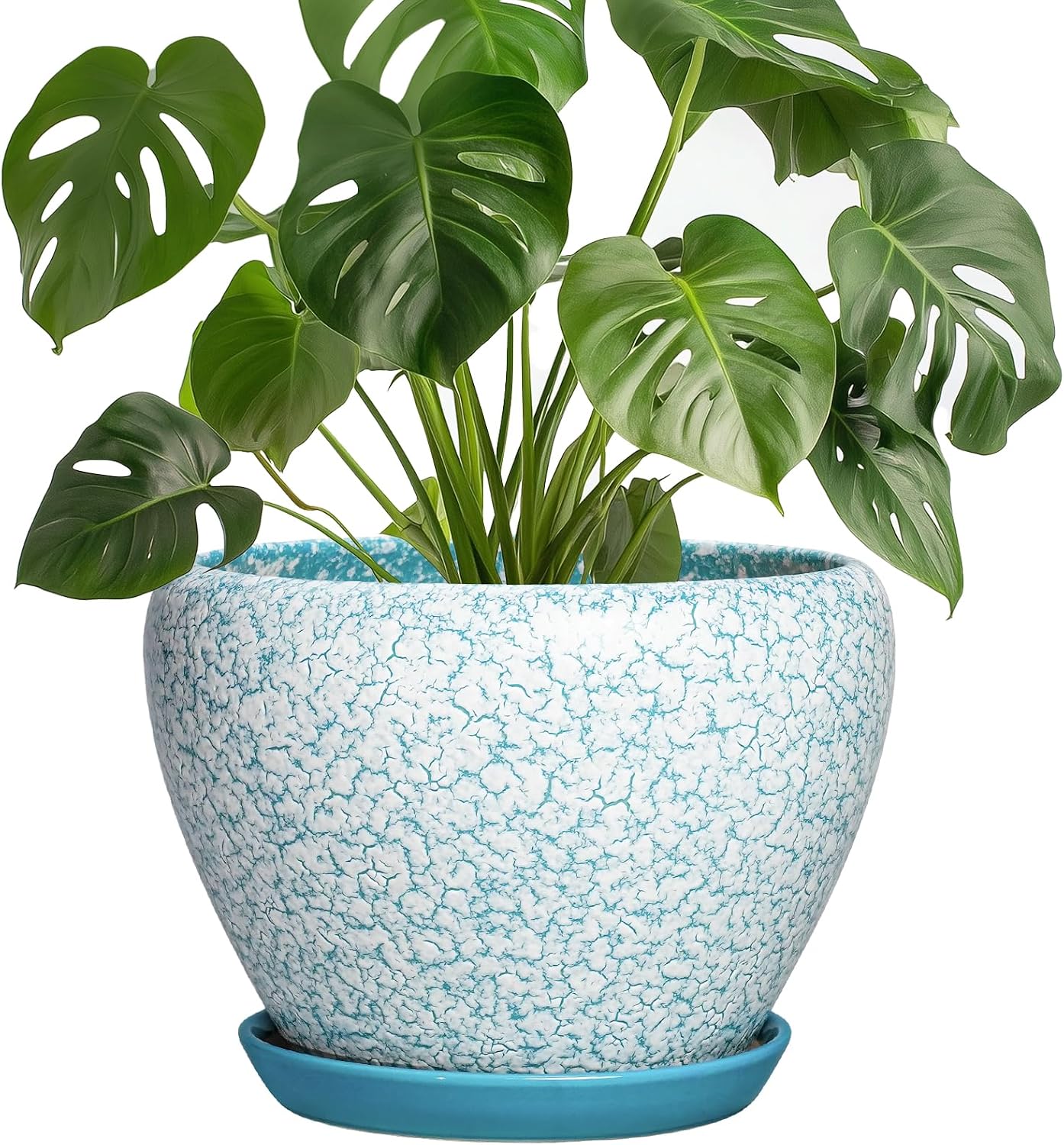 Thirtypot Ceramic Plant Pots