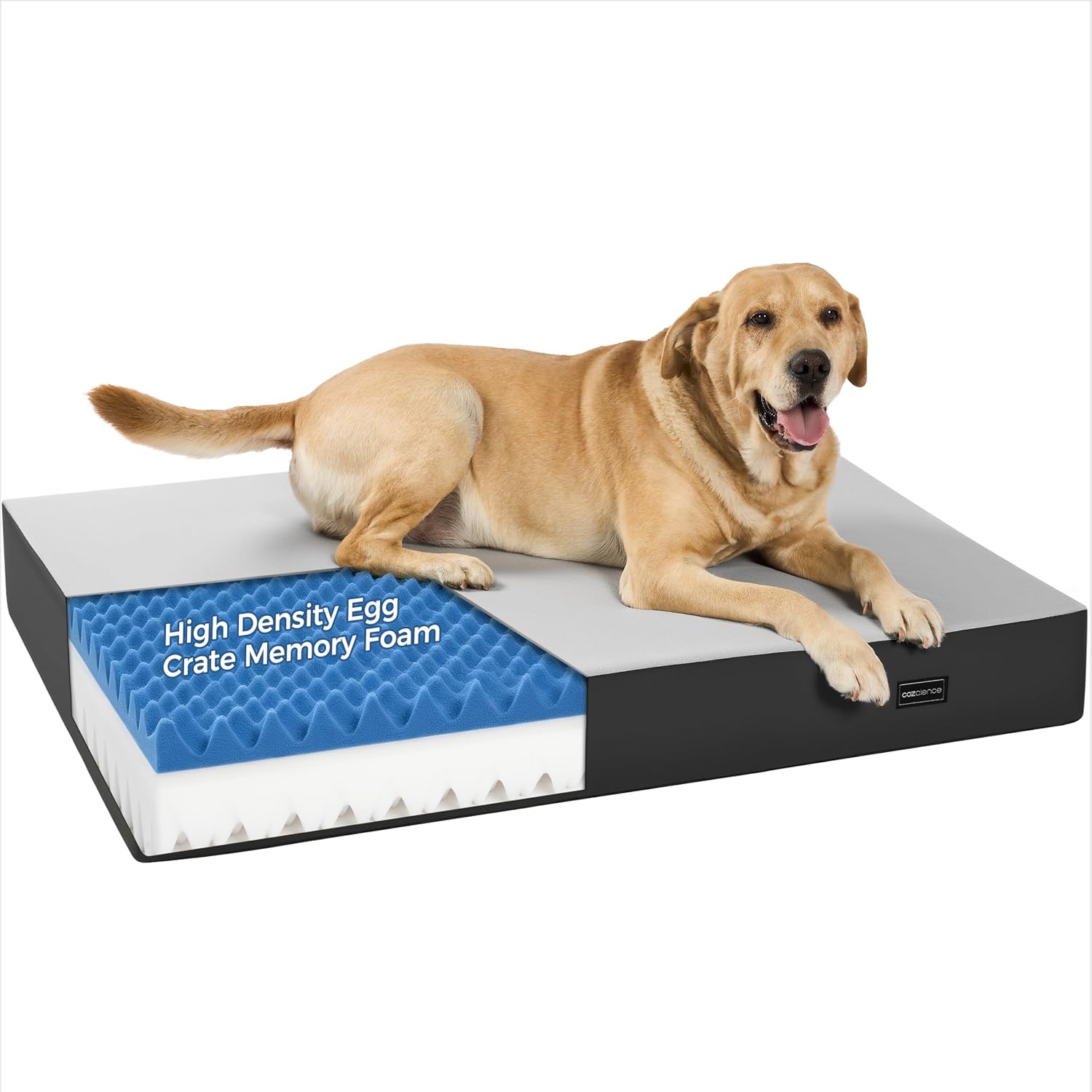 Orthopedic Dog Beds