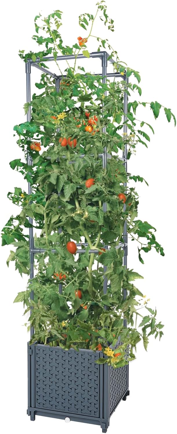 GREEN MOUNT Raised Garden Beds