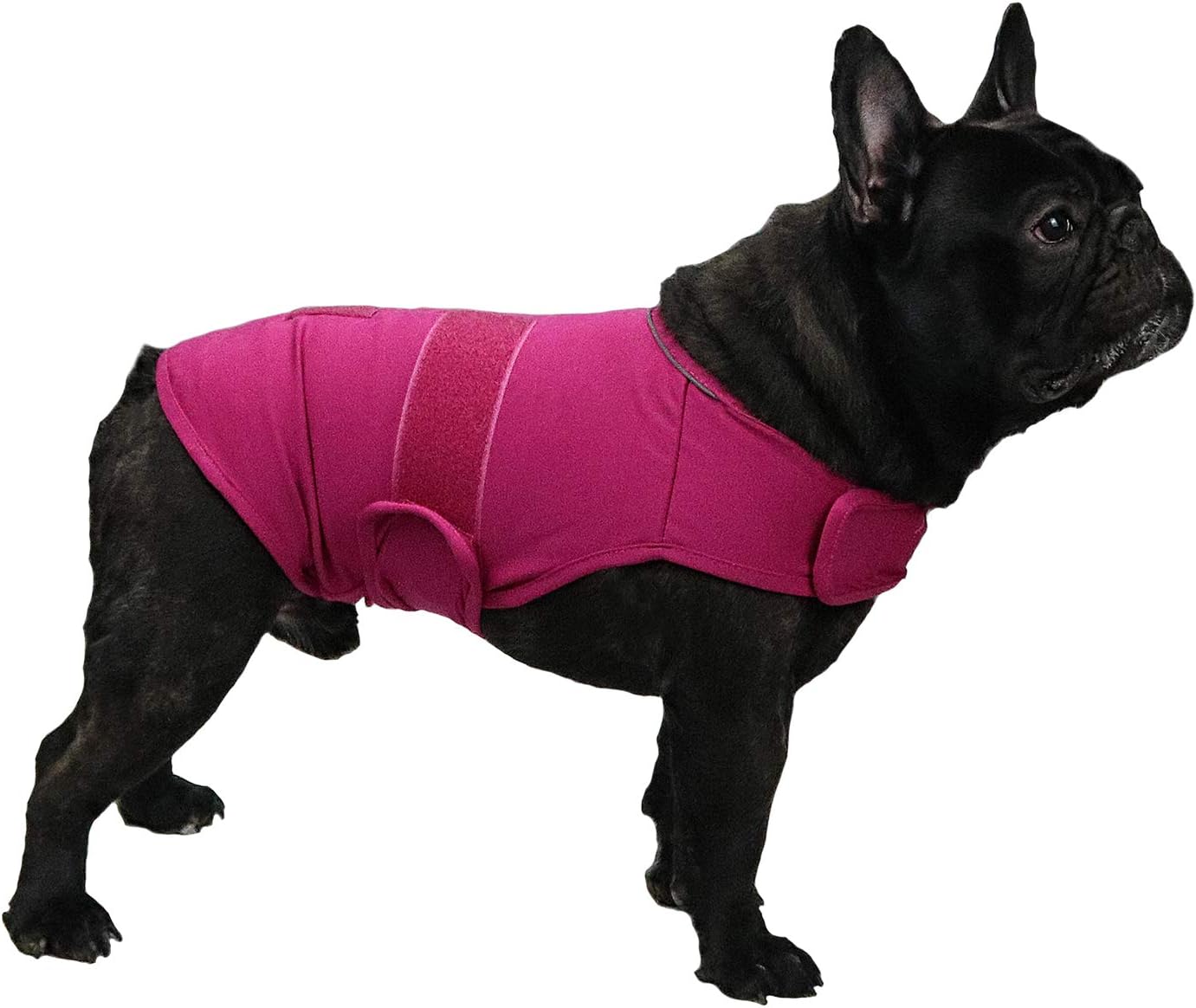 Cattamao Dog Anxiety Relief Coats