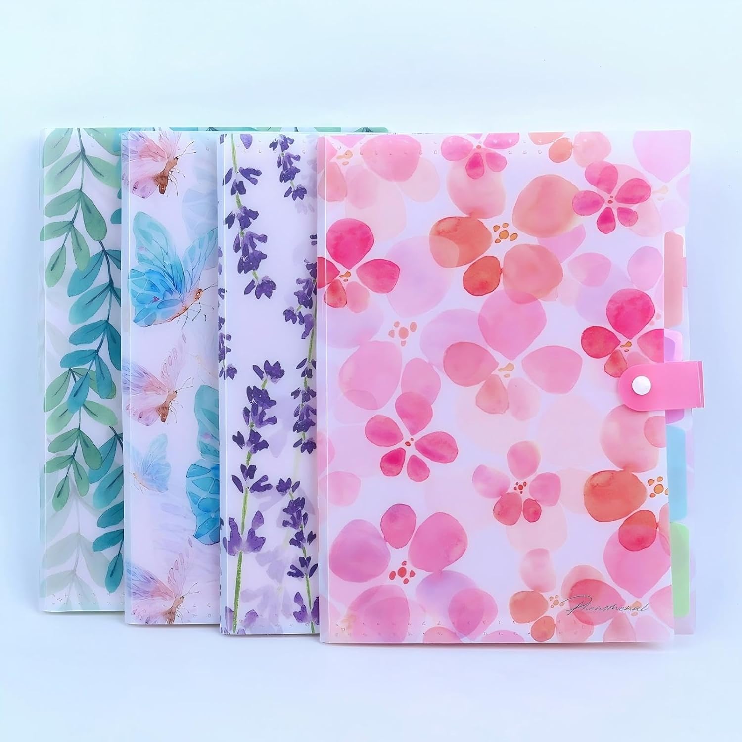 Expanding File Folders (Set of 4