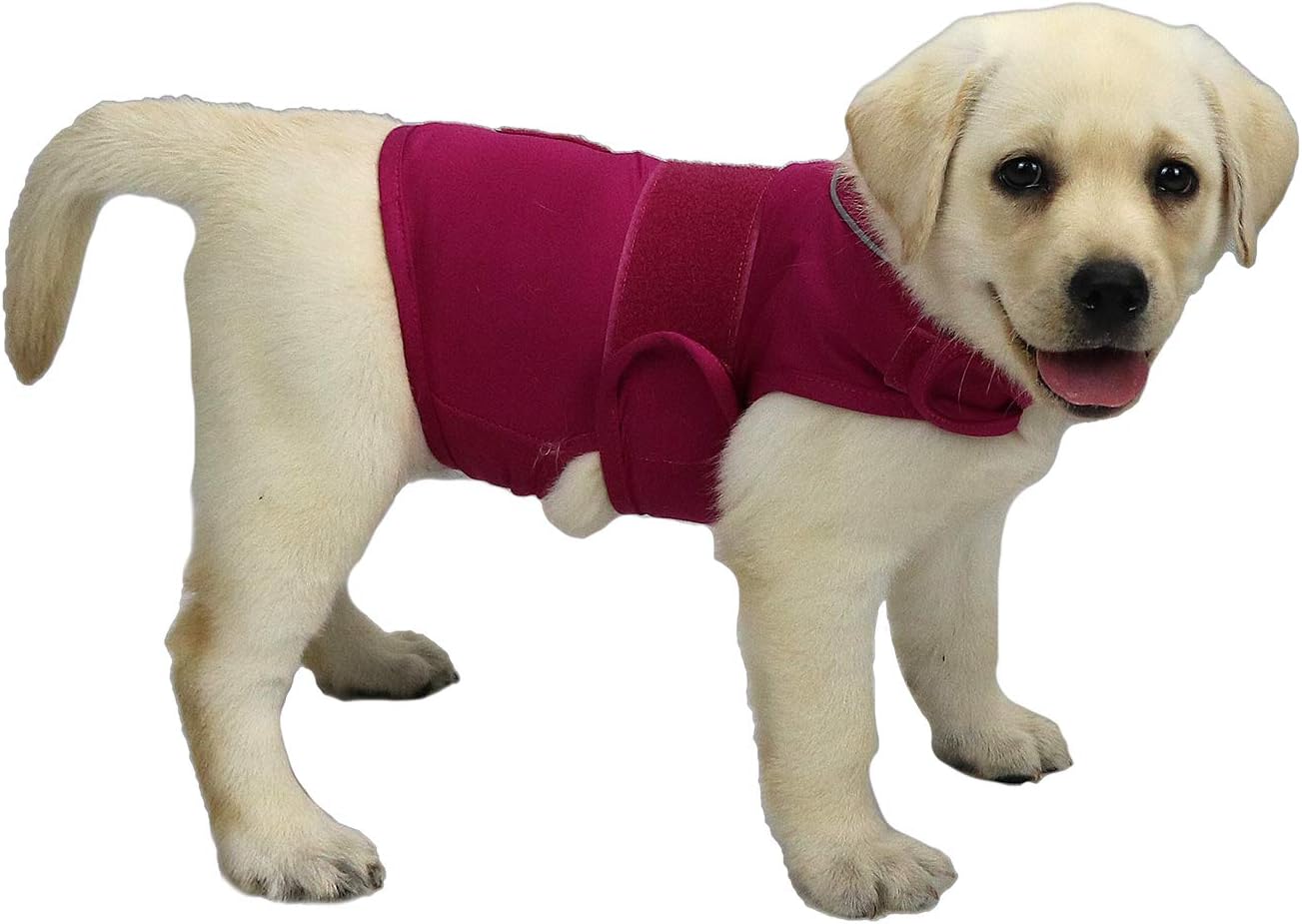 Cattamao Anxiety Relief Dog Coats