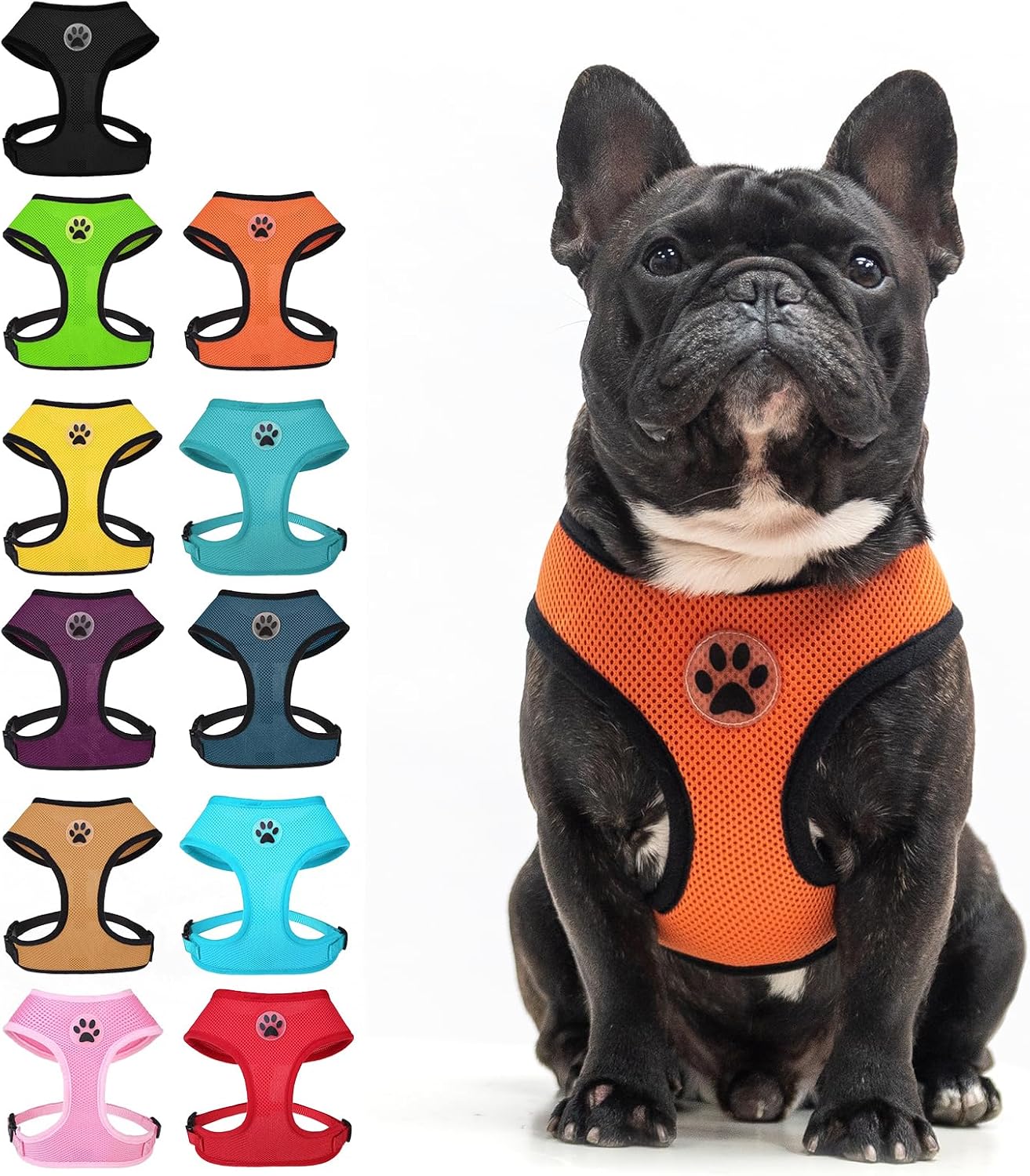 BINGPET Small Dog Harnesses (Orange