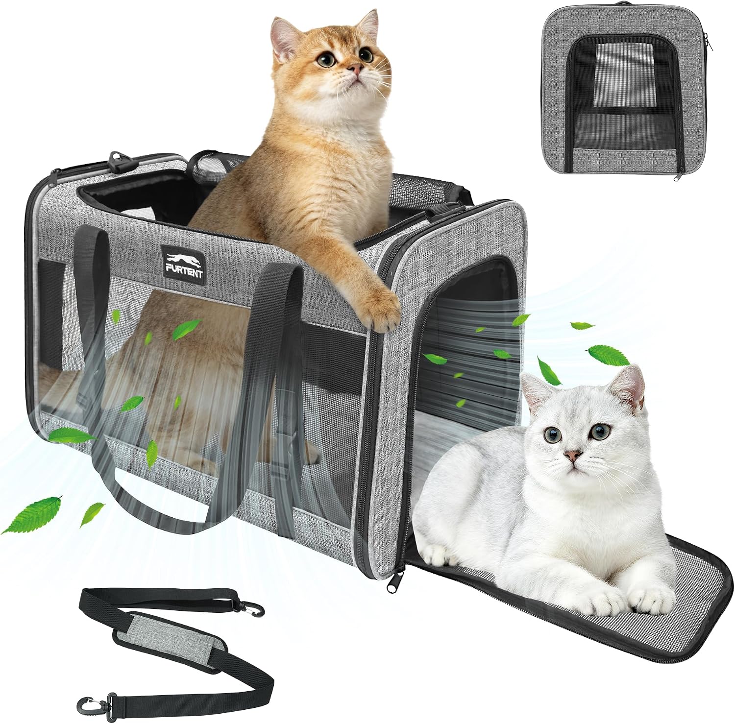 Soft-Sided Large Cat Carriers