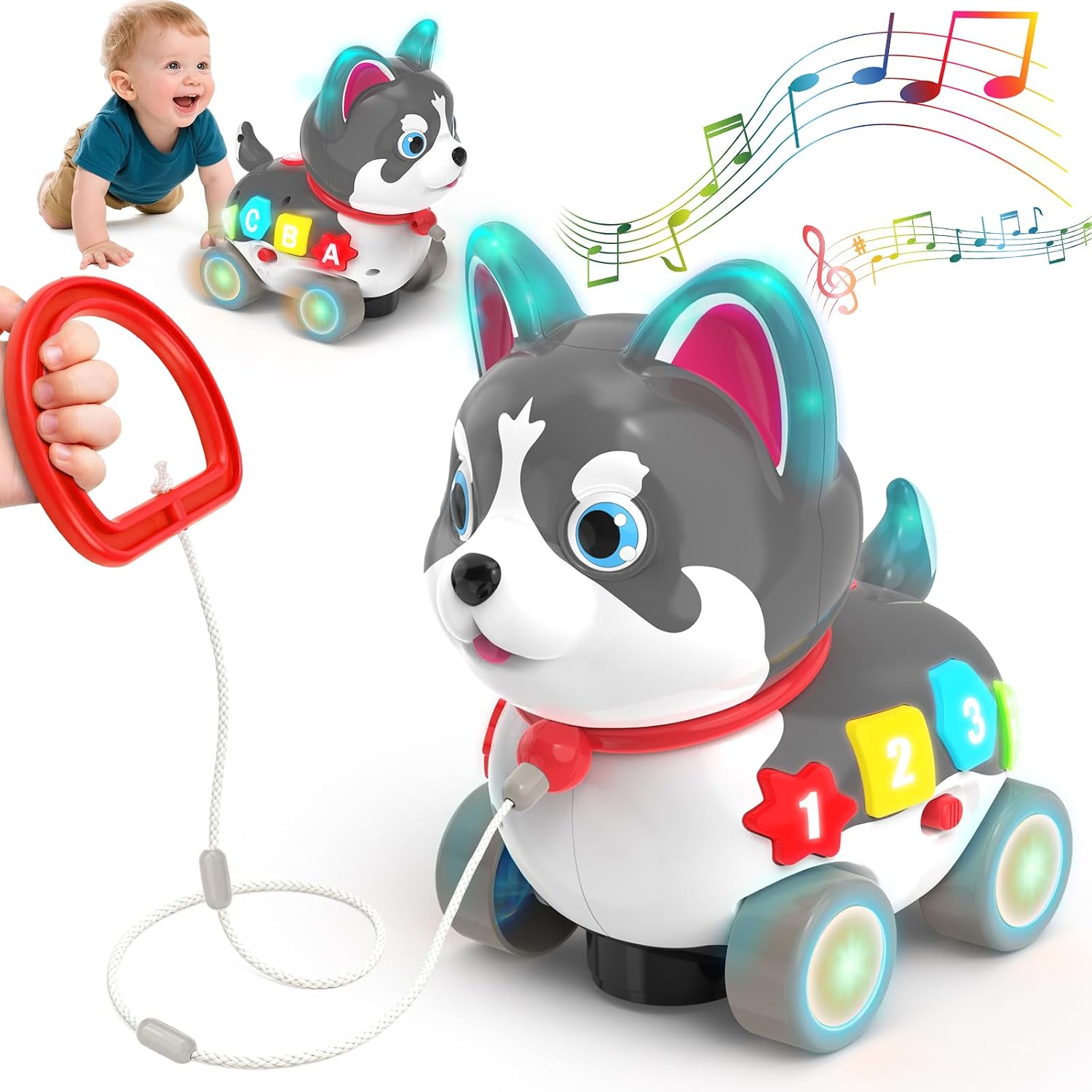 Baby Developmental Toys