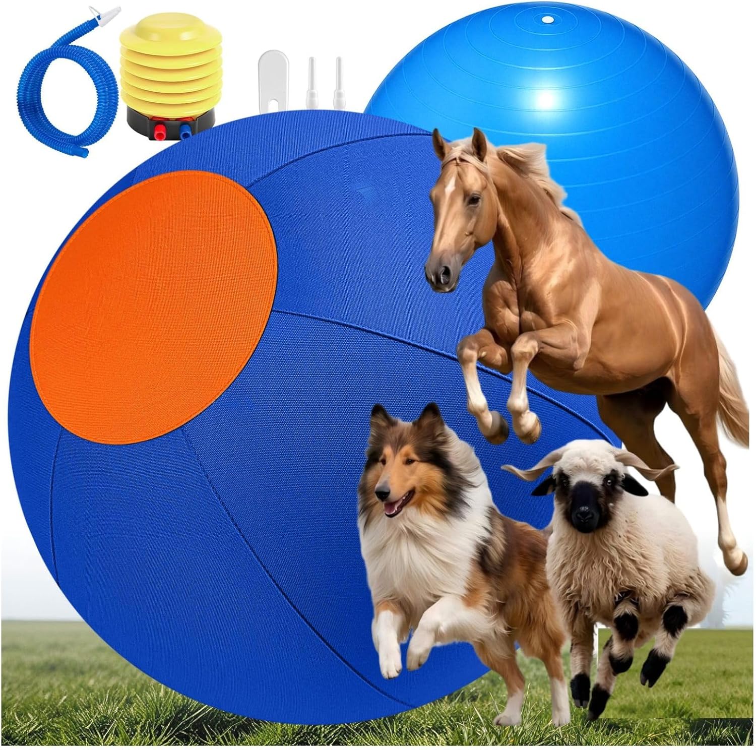 DIBINILE Herding Balls for Dogs