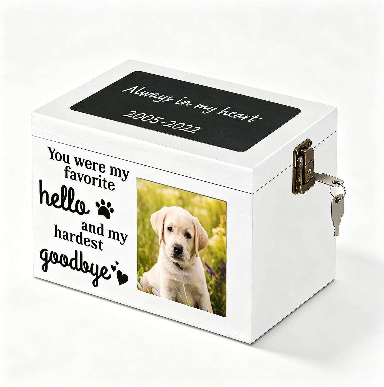 Pet Memorial Urns with Photo Display