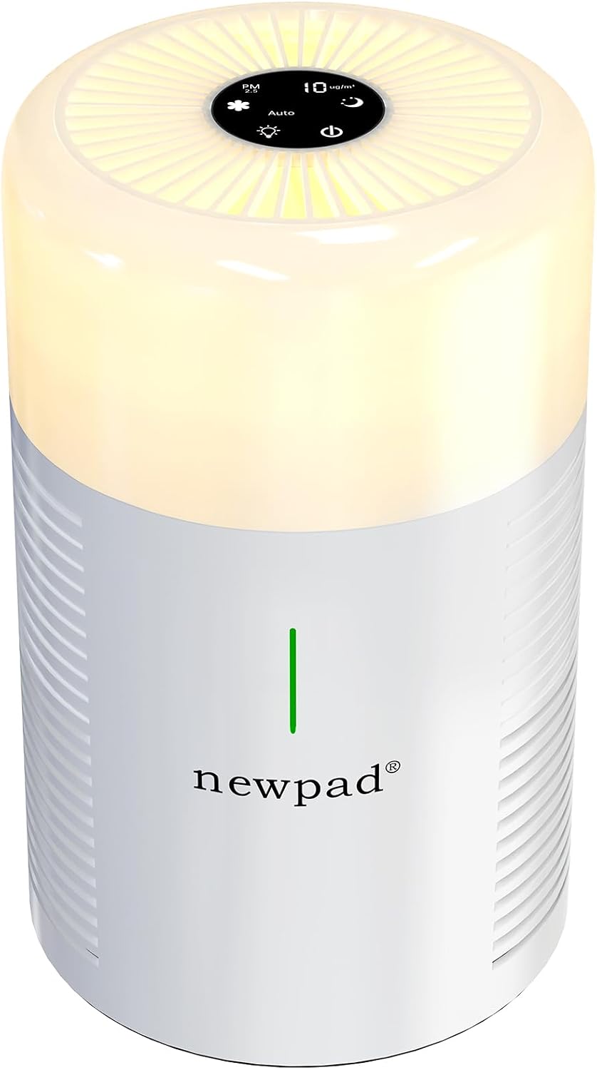 Air Purifiers with Desk Lamps