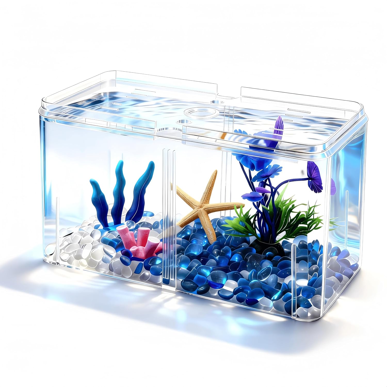 Mini Betta Fish Tanks