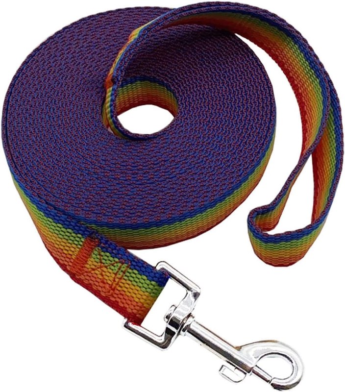 Nylon Dog Training Leashes